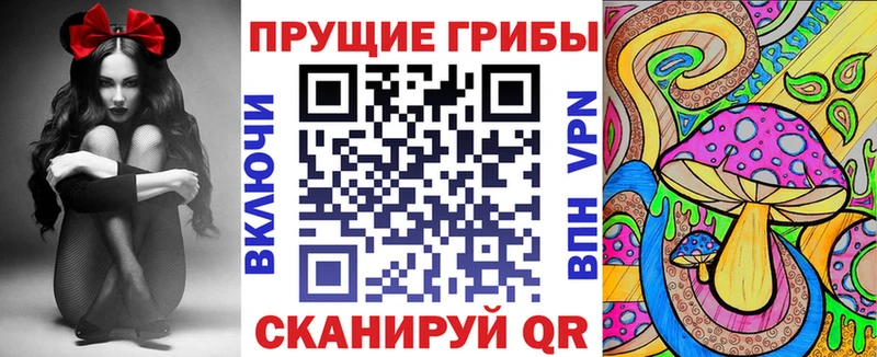 Галлюциногенные грибы мицелий  купить закладку  Мышкин 